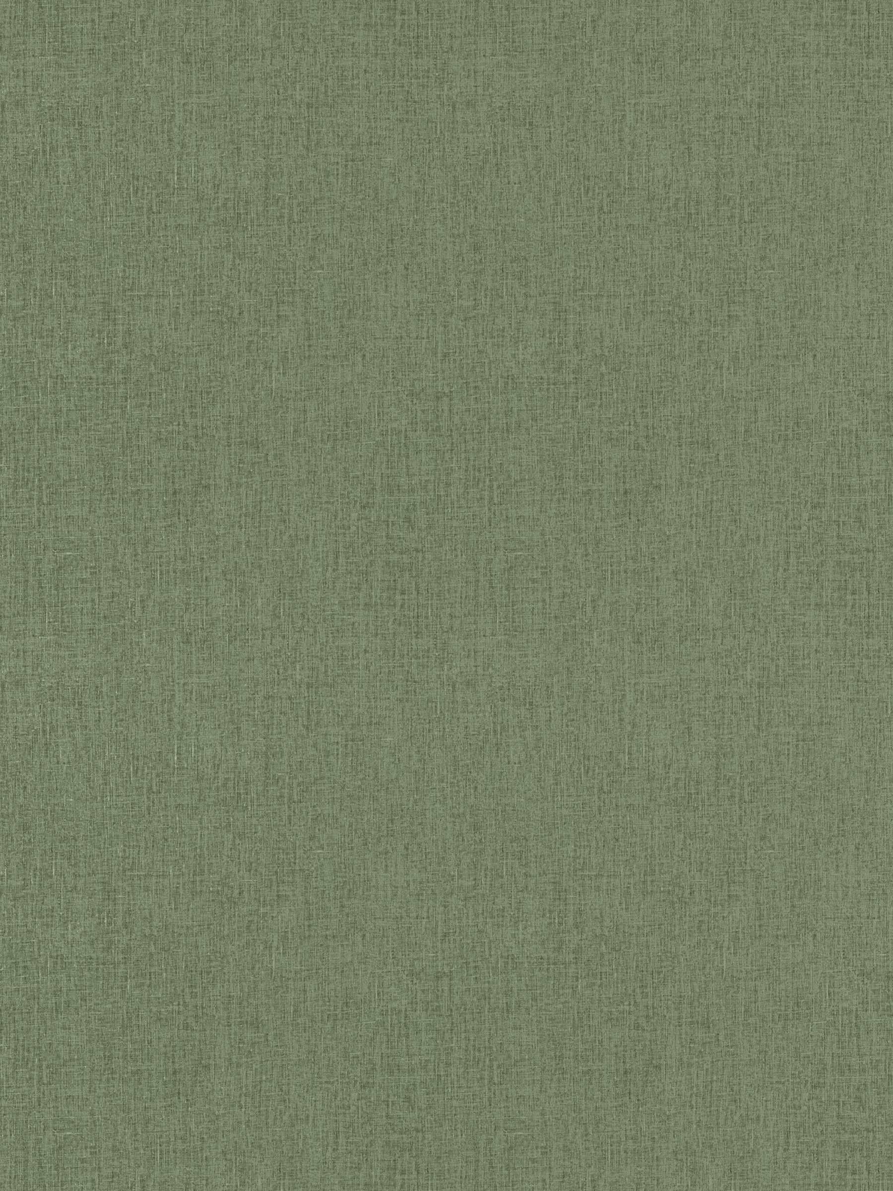 Holland Grass